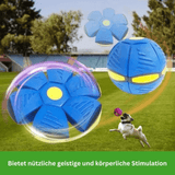 SCOMBOO FrisBeeBall - Ballspaß, der abhebt! Scomboo