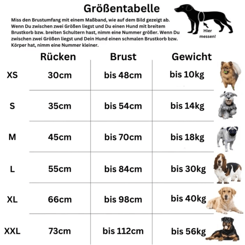 SCOMBOO SilverCoat - Leuchtender Schutz für nächtliche Abenteurer Scomboo