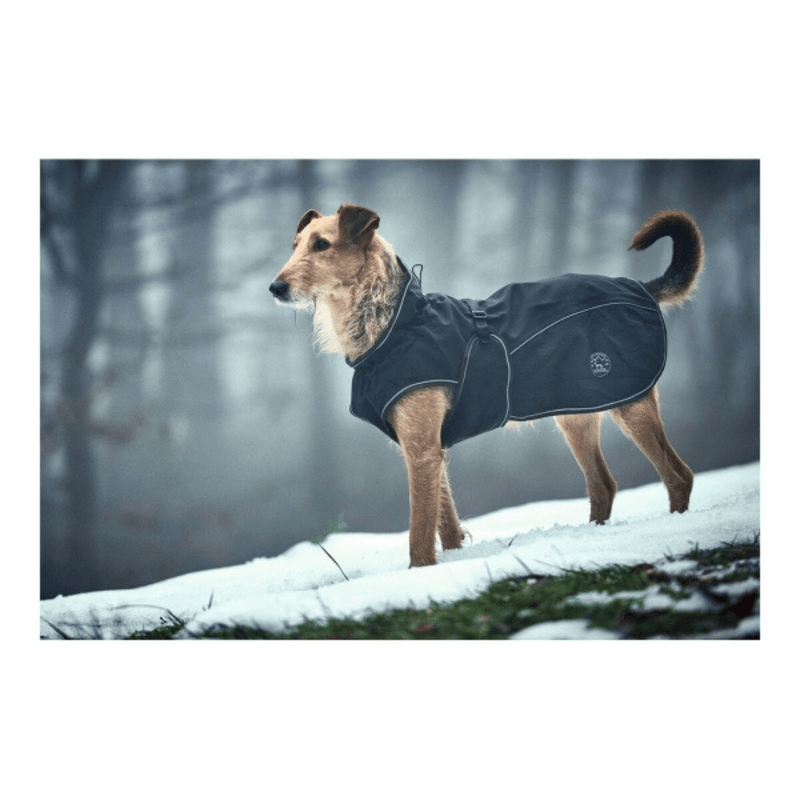 SCOMBOO PupProtector - Die ultimative Schutzjacke für regensichere Abenteuer Scomboo