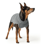 SCOMBOO WarmChest Ⅱ - Wärme, Stil & Komfort für Hunde Scomboo