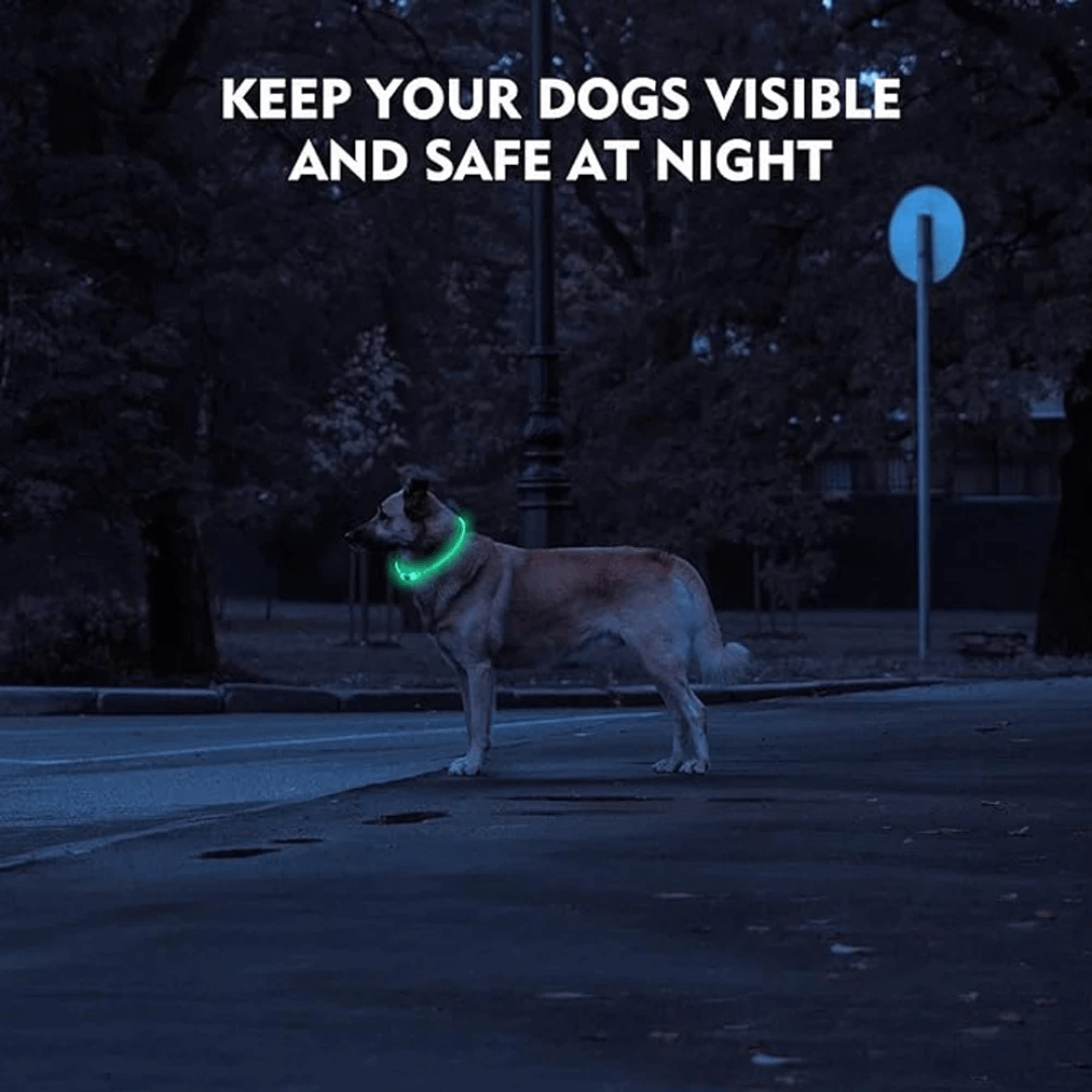 SCOMBOO GlowGuard - Mit Licht ins Abenteuer! Scomboo