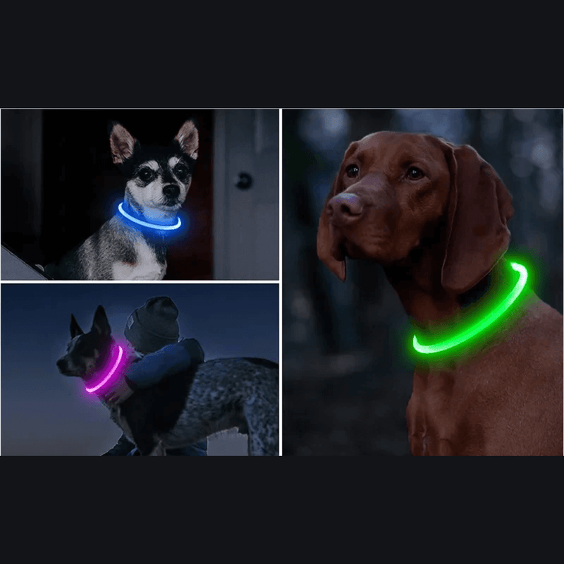 SCOMBOO GlowGuard - Mit Licht ins Abenteuer! Scomboo