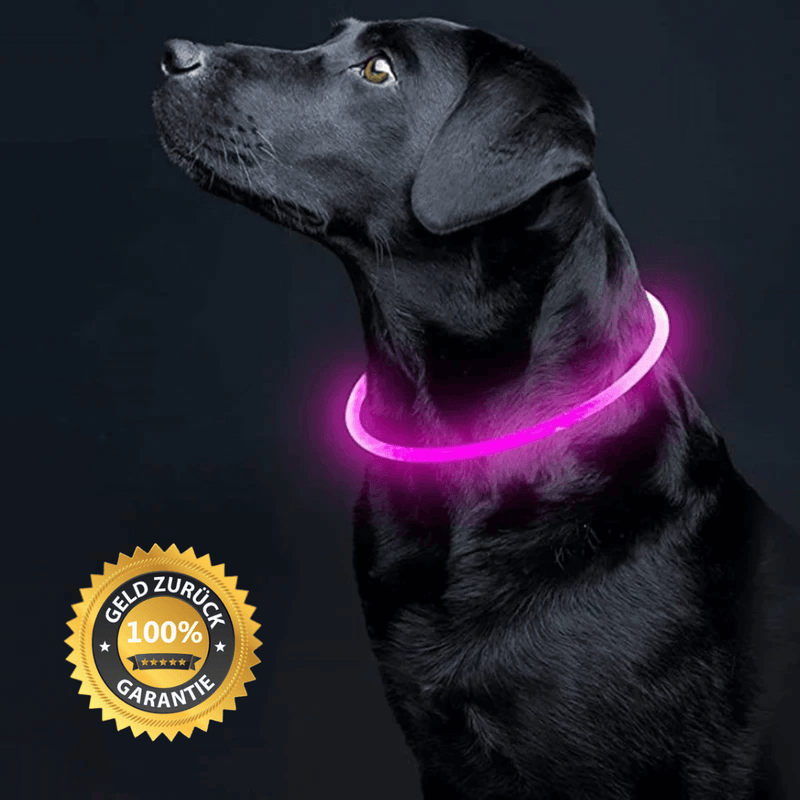 SCOMBOO GlowGuard - Mit Licht ins Abenteuer! Scomboo