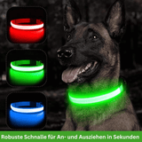 SCOMBOO GlowGuard - Mit Licht ins Abenteuer! Scomboo