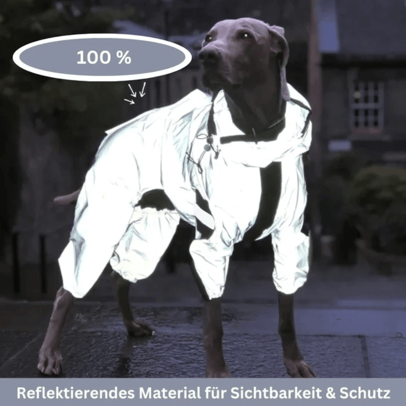 SCOMBOO SilverCoat - Leuchtender Schutz für nächtliche Abenteurer Scomboo