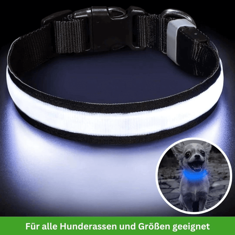 SCOMBOO GlowGuard - Mit Licht ins Abenteuer! Scomboo