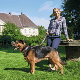 SCOMBOO SwissCollar – Einzigartig wie dein Hund Scomboo