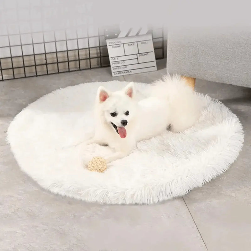 SCOMBOO PetPillow - Kuschliges Kreisbett für kleine Vierbeiner Scomboo