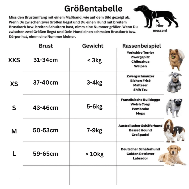 SCOMBOO PupTrend  - Für Abenteuer bei jedem Wetter Scomboo