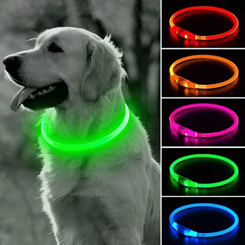 SCOMBOO GlowGuard - Mit Licht ins Abenteuer! Scomboo